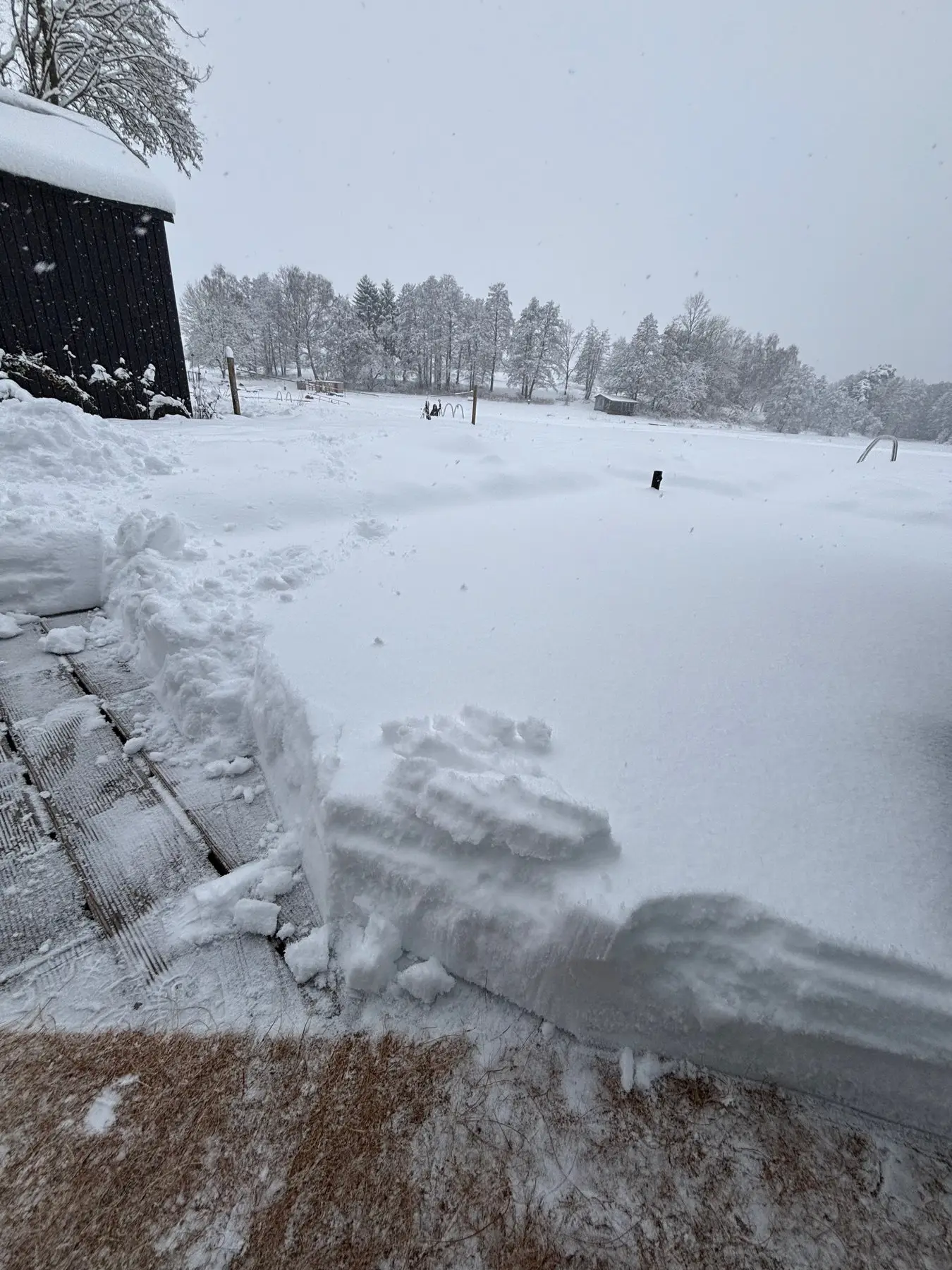 Verschneiter Garten vor dem See