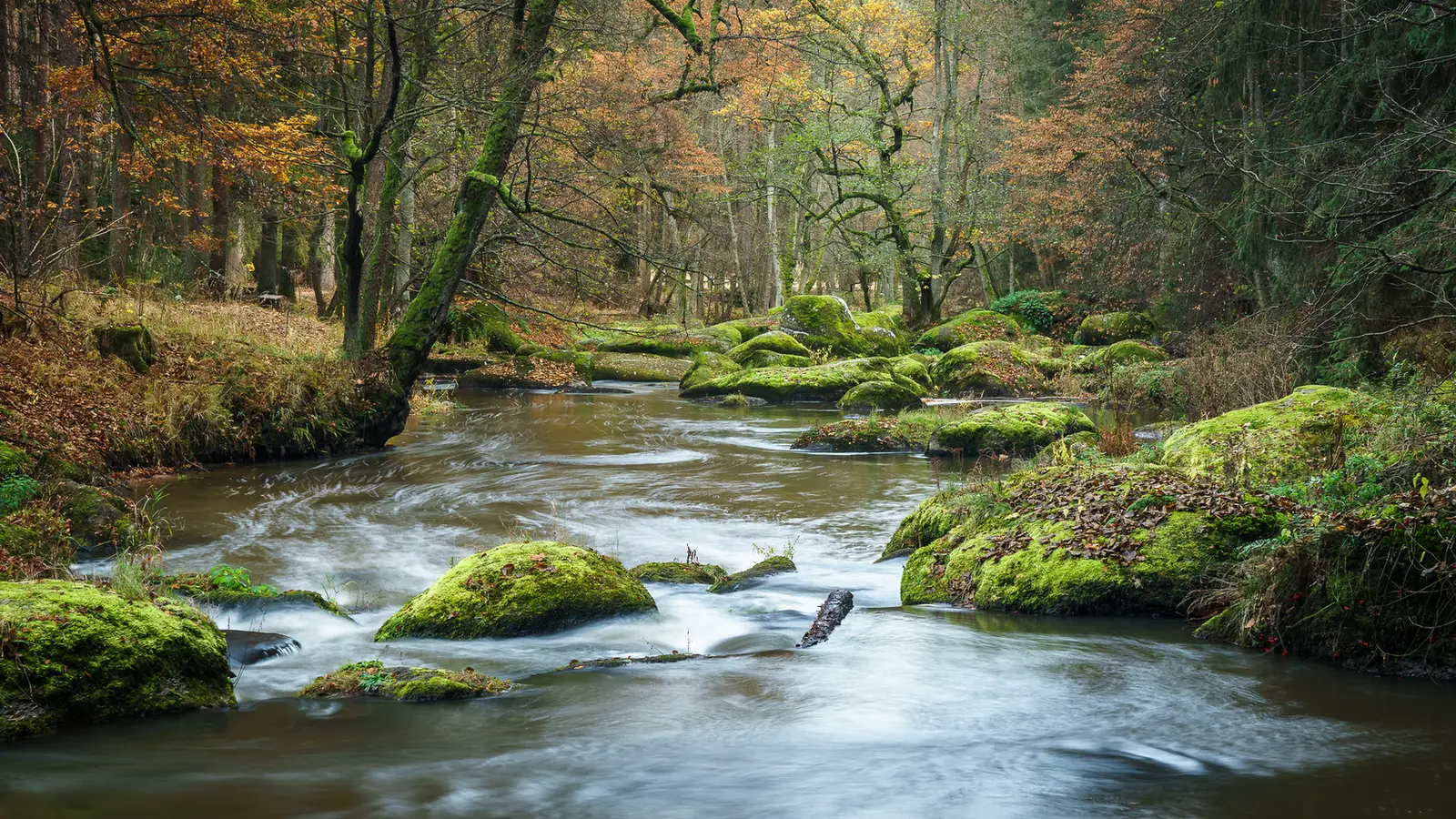 Bach mit moosigen Steinen im Waldnaabtal