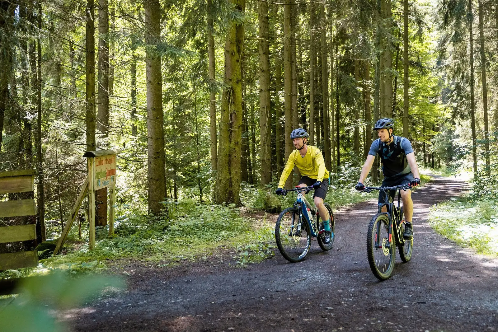 Zwei Radfahrer auf einem Waldweg im Steinwald