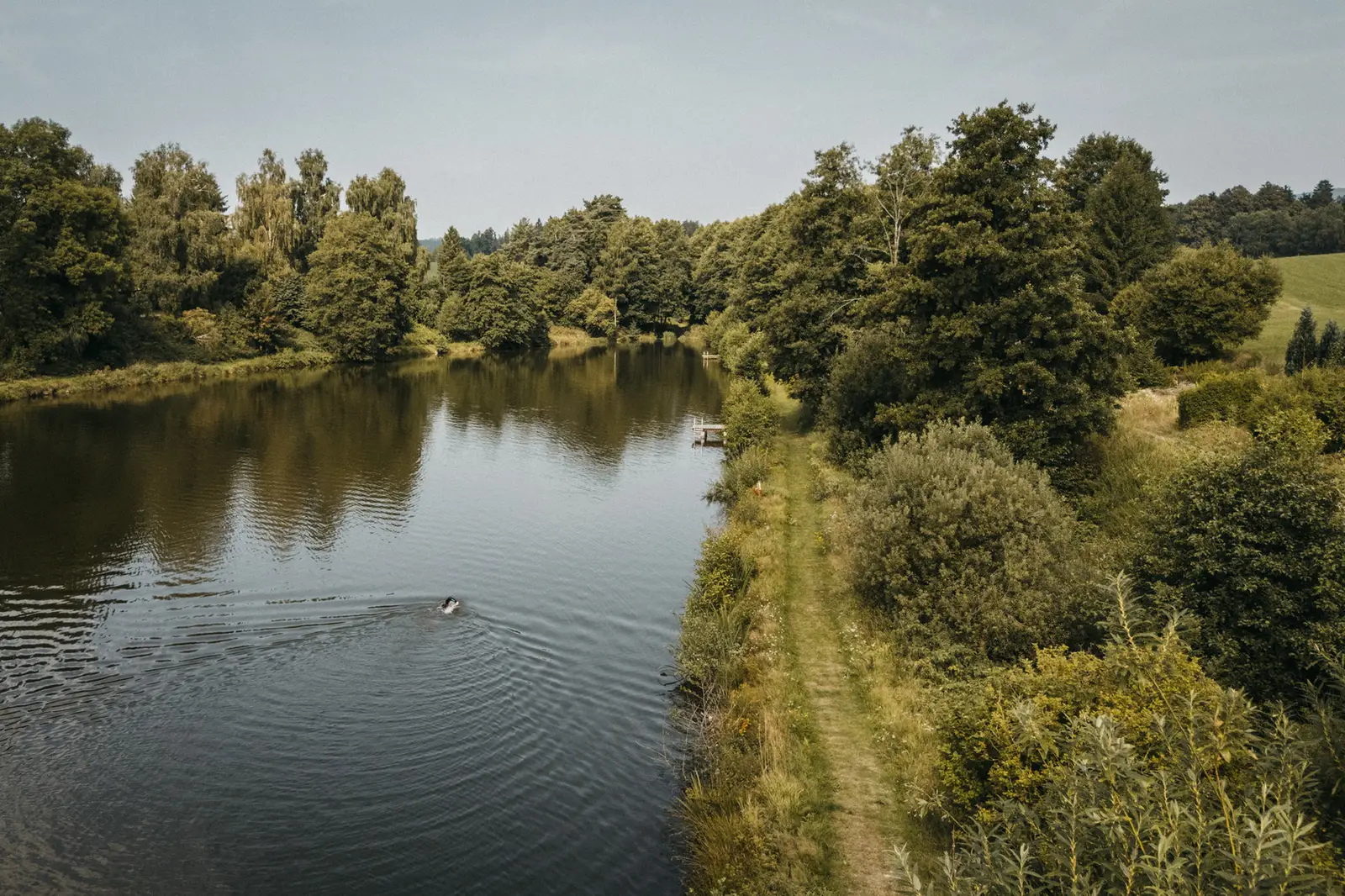 Erlenweiher von oben mit Schwimmer und Uferweg